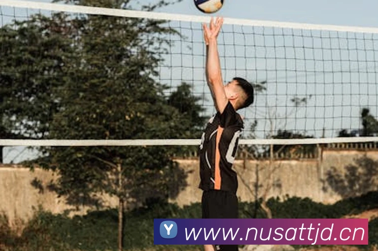 星空平台在线登录发展历程